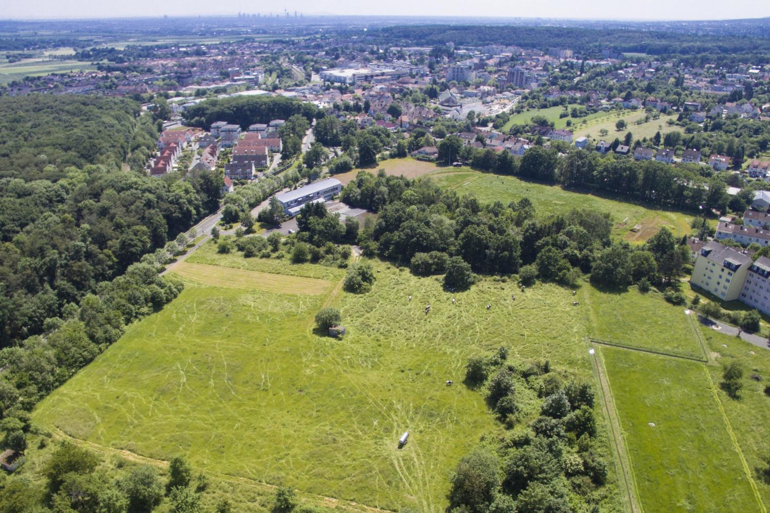 ÖkoSiedlung Friedrichsdorf